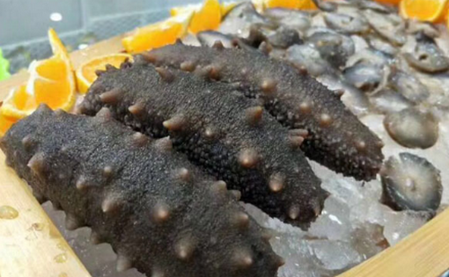 比較不錯的海參做法推薦
