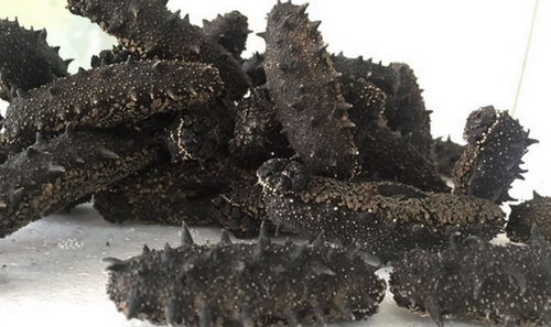 如何鑒別煙臺長島海參