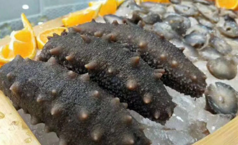 如何對進行海參室內(nèi)控溫養(yǎng)殖