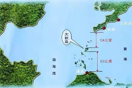 大欽島海參產地真正的野生